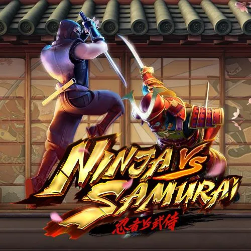 Ninja vs Samurai